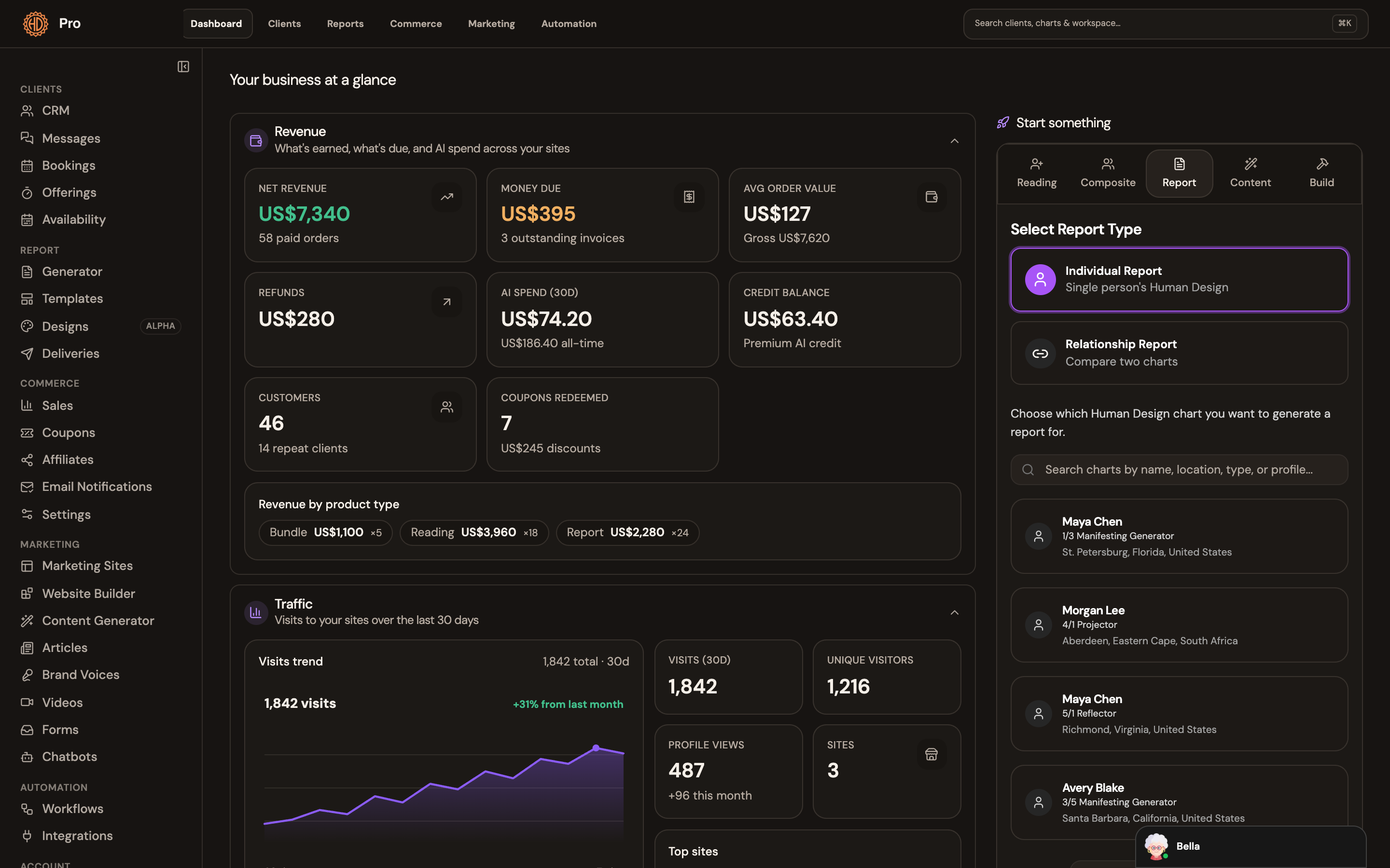Pro Business Hub showing revenue, clients and report creation