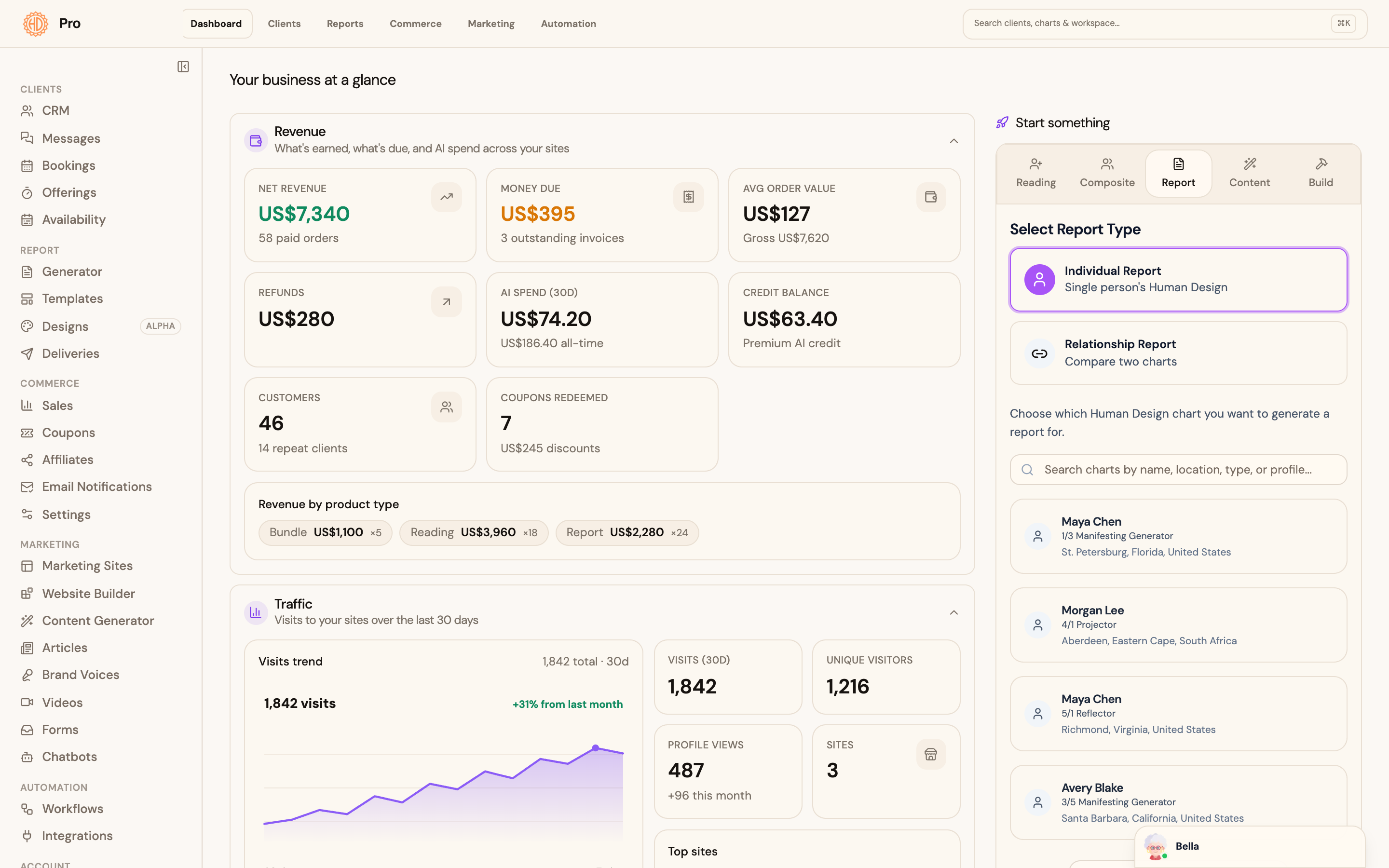 Pro Business Hub showing revenue, clients and report creation